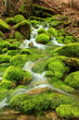Mountain stream, mossy stones