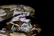 Suriname Boa Suriname Boa