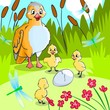 Illustration: Fairy tale Ugly duckling 2. Fairy tale Ugly duckling 2.