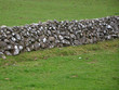 steinmauer