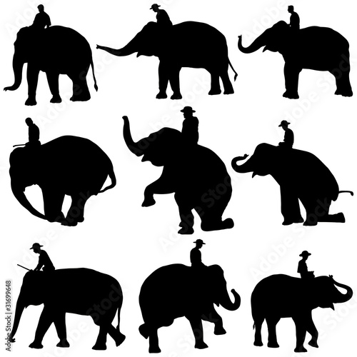 Vector: Vector illustration of Elephant silhouettes on white background. Vector illustration of Elephant silhouettes on white background.