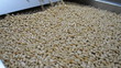 Peanut processing lines
