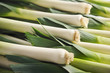 Fresh leeks in group