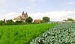 St. Peter und Paul  - Insel Reichenau - Bodensee