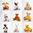 Collage Teddy bears and friends on a white background