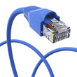 Blue network cable - dynamic