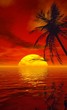 Illustration: coucher de soleil coucher de soleil