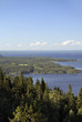 Koli