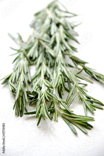 Photo: Rosemary Rosemary