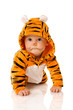 Tiger baby
