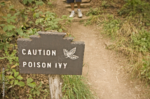 Photo: Caution Poison Ivy (Toxicodendron radicans) Caution Poison Ivy (Toxicodendron radicans)
