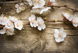 Spring Blossom over wooden background
