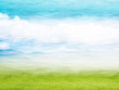 Misty Spring Landscape