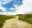 fantasy background