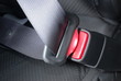 Car seatbelt