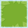 Cadre feuilles