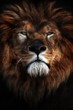 Lion Portrait
