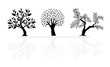 set of abstract trees