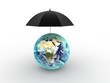 Photo: Umbrella concept Umbrella concept