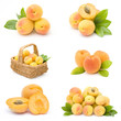 collection of fresh apricot fruits