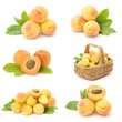 collection of fresh apricot fruits