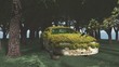 Verrostetes Auto mit Blumen bewachsen im Wald