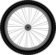 detailed Front wheel of a mountain bike