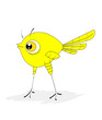 bird