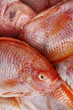 Tilapia roja bacalao