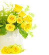 Roses border