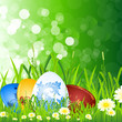 Easter eggs in the grass