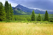 Scenic view in Canadian Rockies