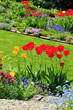 Frühling im Garten