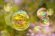 Bulles de savon Bulles de savon