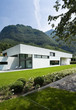 modern house - exterior with lawn