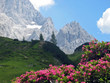 les Alpes