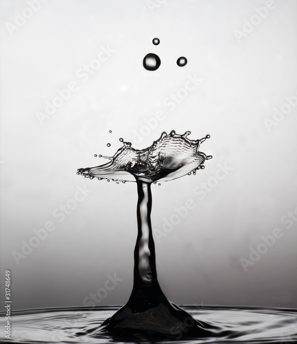 Foto: Water Drop Collision Water Drop Collision