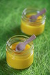 panna cotta mini pots crème citron