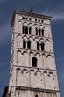 Bell Tower (Lucca)