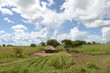 africa