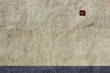 Wall of the house in spring