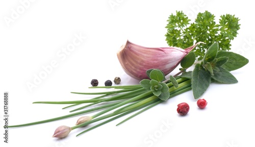Foto: Gartenkräuter, Knoblauch Gartenkräuter, Knoblauch