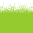 Grüne gräser