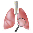Lung checkup, eps8