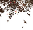 tree and bird