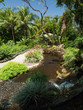 Ruisseau dans le jardin botanique, Guadeloupe Ruisseau dans le jardin botanique, Guadeloupe