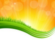 Shiny Background With Green Grass Shiny Background With Green Grass