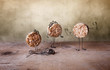 Stilleben mit Waffeln - Simple Things