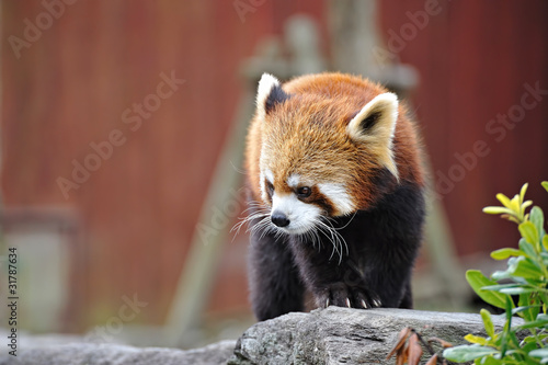 photo par TOMO