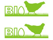 Bio- Eier